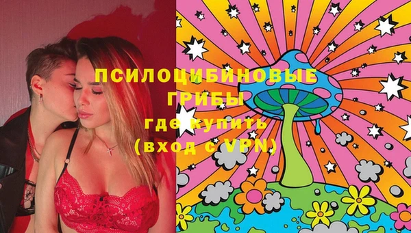PSILOCYBIN Алзамай