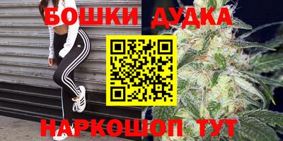 индика Гуково