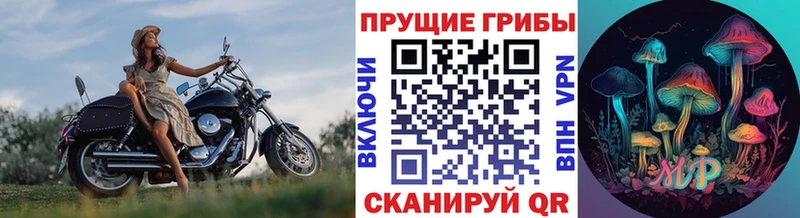 продажа наркотиков  Архангельск  мориарти официальный сайт  Псилоцибиновые грибы прущие грибы 